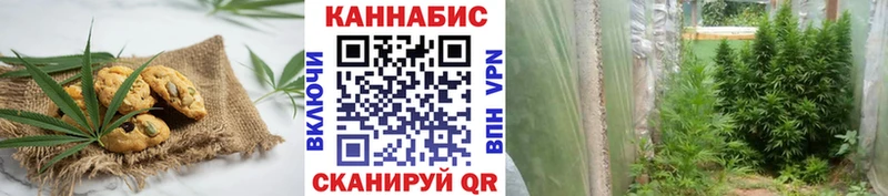 где можно купить наркотик  Чегем  Еда ТГК конопля 