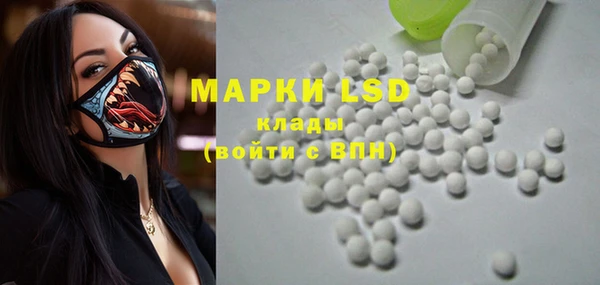 амф Верхний Тагил