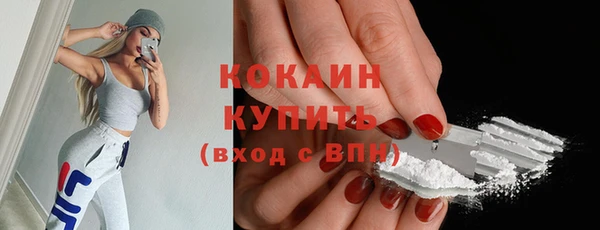 амф Верхний Тагил
