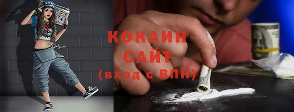 амф Верхний Тагил