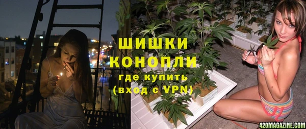 ГАЛЛЮЦИНОГЕННЫЕ ГРИБЫ Верея