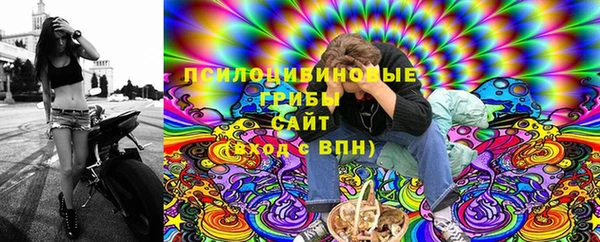 амф Верхний Тагил