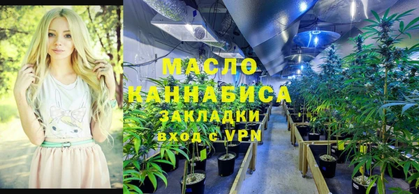 ГАЛЛЮЦИНОГЕННЫЕ ГРИБЫ Верея