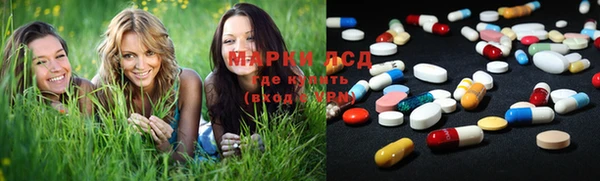 ГАЛЛЮЦИНОГЕННЫЕ ГРИБЫ Верея